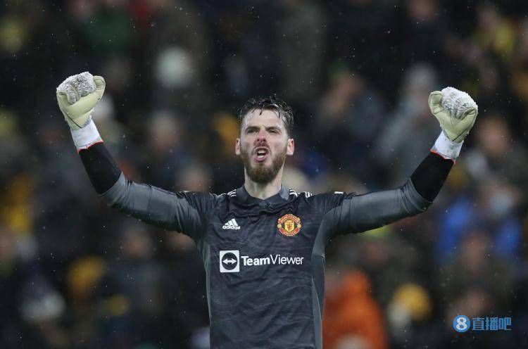 日本寡妇睡义子