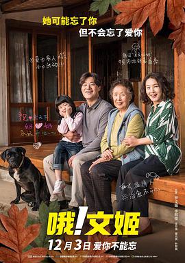爱情镜头