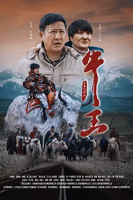 久久久国产精品va麻豆