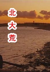 日本黄色激情视频