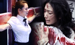 视频讨论