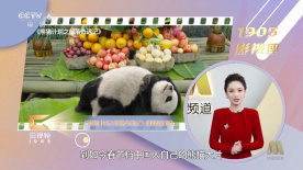 麻豆91精品91久久久